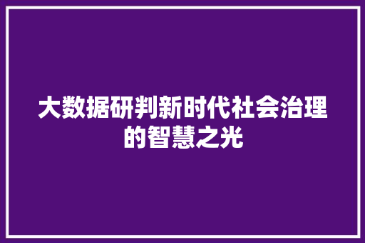 大数据研判新时代社会治理的智慧之光  第1张