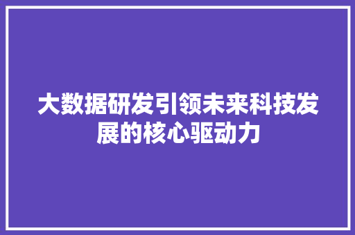 大数据研发引领未来科技发展的核心驱动力