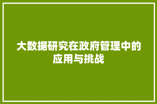 大数据研究在政府管理中的应用与挑战  第1张