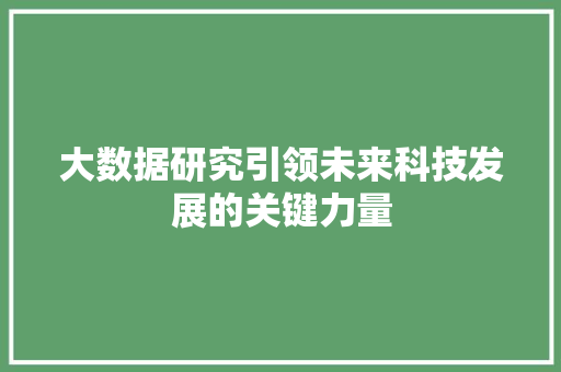 大数据研究引领未来科技发展的关键力量