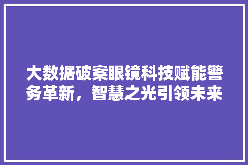 大数据破案眼镜科技赋能警务革新，智慧之光引领未来侦查