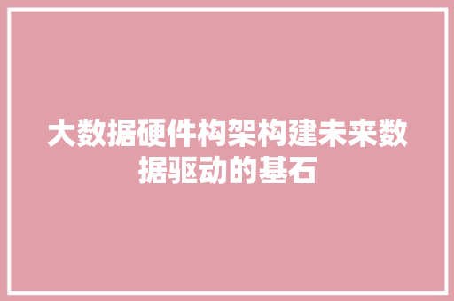 大数据硬件构架构建未来数据驱动的基石
