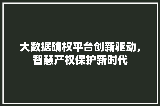 大数据确权平台创新驱动，智慧产权保护新时代