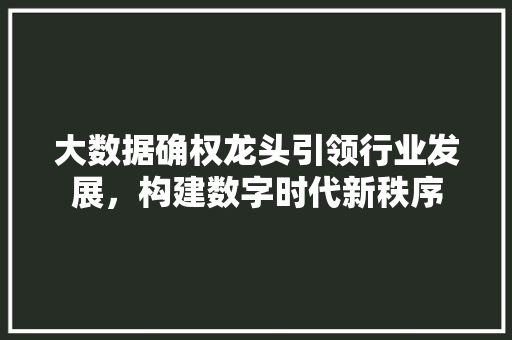 大数据确权龙头引领行业发展，构建数字时代新秩序