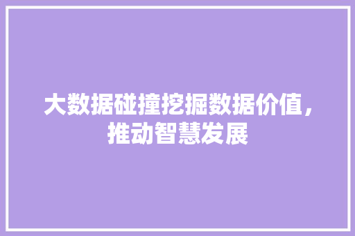 大数据碰撞挖掘数据价值，推动智慧发展