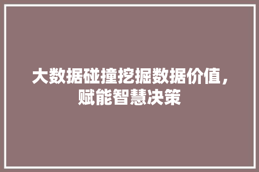 大数据碰撞挖掘数据价值，赋能智慧决策
