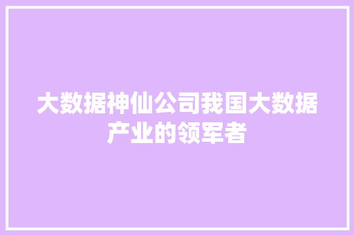 大数据神仙公司我国大数据产业的领军者