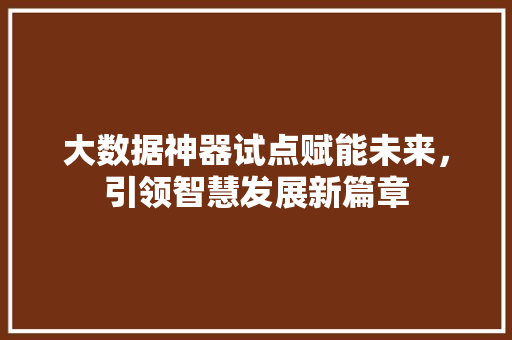 大数据神器试点赋能未来，引领智慧发展新篇章