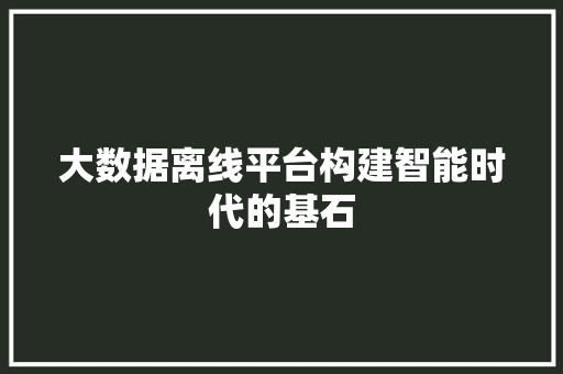 大数据离线平台构建智能时代的基石  第1张