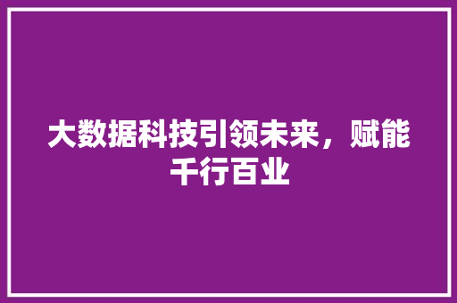 大数据科技引领未来，赋能千行百业  第1张