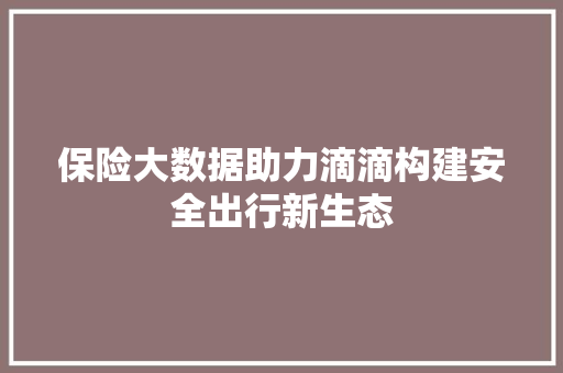 保险大数据助力滴滴构建安全出行新生态
