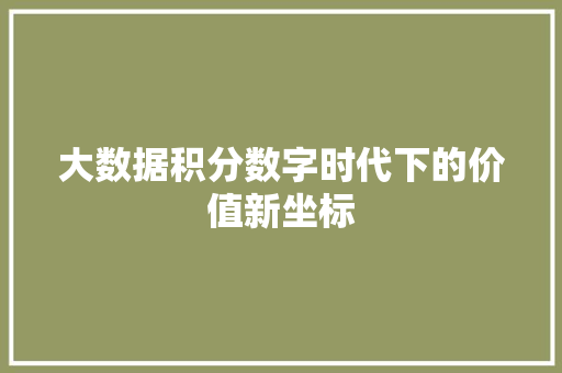 大数据积分数字时代下的价值新坐标