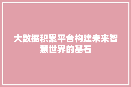 大数据积累平台构建未来智慧世界的基石
