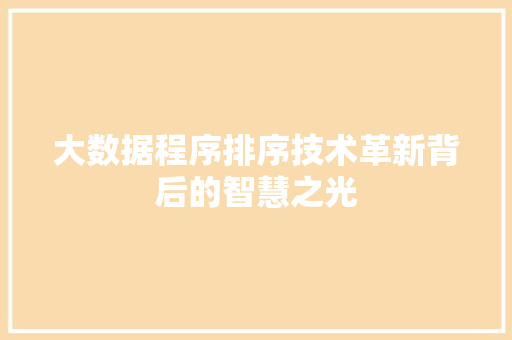 大数据程序排序技术革新背后的智慧之光