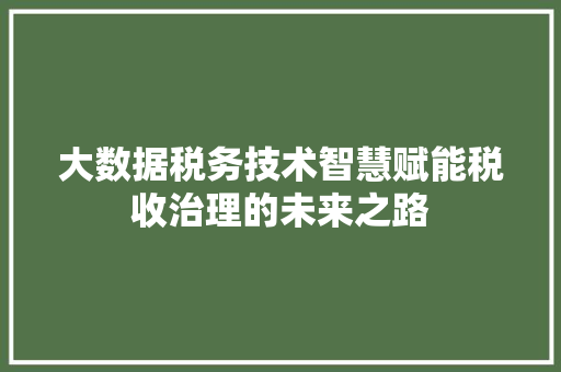 大数据税务技术智慧赋能税收治理的未来之路  第1张