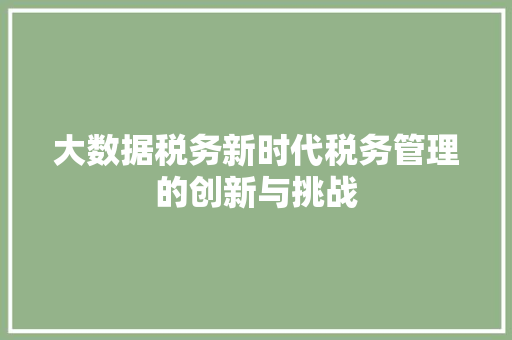 大数据税务新时代税务管理的创新与挑战  第1张