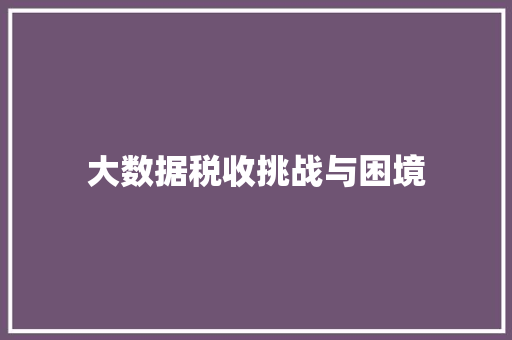 大数据税收挑战与困境  第1张