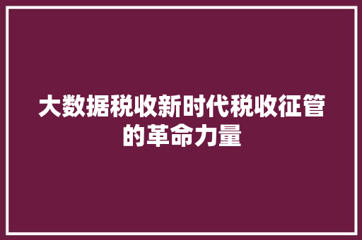 大数据税收新时代税收征管的革命力量  第1张