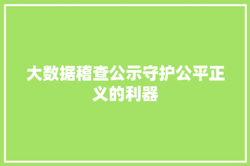 大数据稽查公示守护公平正义的利器  第1张