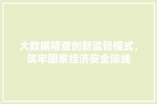 大数据稽查创新监管模式，筑牢国家经济安全防线  第1张