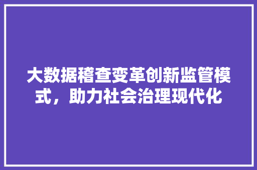 大数据稽查变革创新监管模式，助力社会治理现代化  第1张