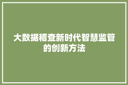 大数据稽查新时代智慧监管的创新方法  第1张