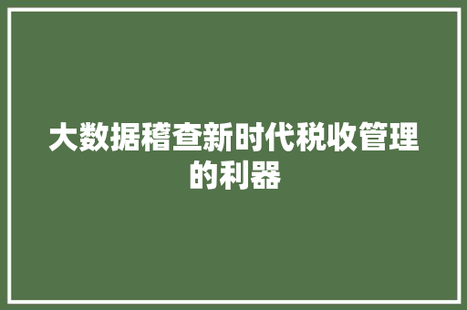 大数据稽查新时代税收管理的利器  第1张