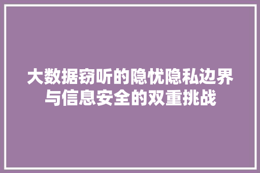 大数据窃听的隐忧隐私边界与信息安全的双重挑战
