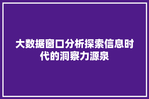 大数据窗口分析探索信息时代的洞察力源泉