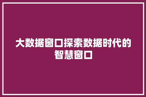 大数据窗口探索数据时代的智慧窗口