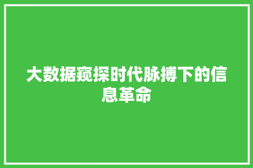 大数据窥探时代脉搏下的信息革命