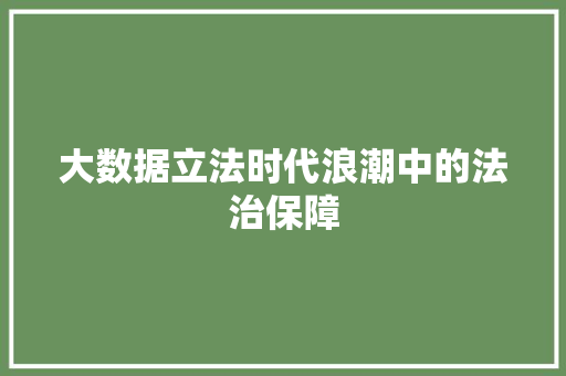 大数据立法时代浪潮中的法治保障  第1张