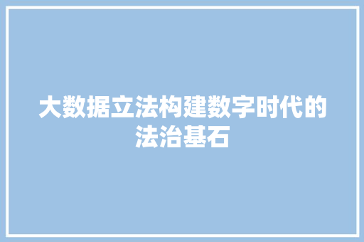 大数据立法构建数字时代的法治基石  第1张