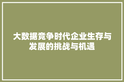 大数据竞争时代企业生存与发展的挑战与机遇  第1张