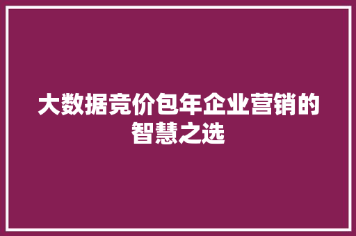 大数据竞价包年企业营销的智慧之选