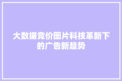 大数据竞价图片科技革新下的广告新趋势