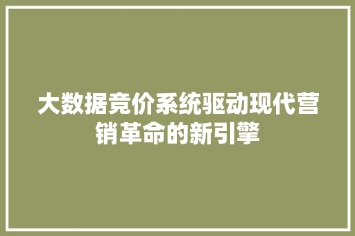 大数据竞价系统驱动现代营销革命的新引擎