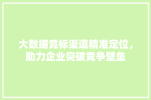 大数据竞标渠道精准定位，助力企业突破竞争壁垒