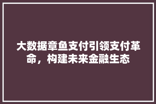 大数据章鱼支付引领支付革命，构建未来金融生态