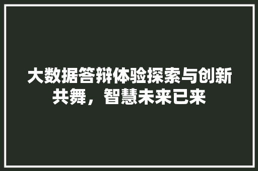大数据答辩体验探索与创新共舞，智慧未来已来
