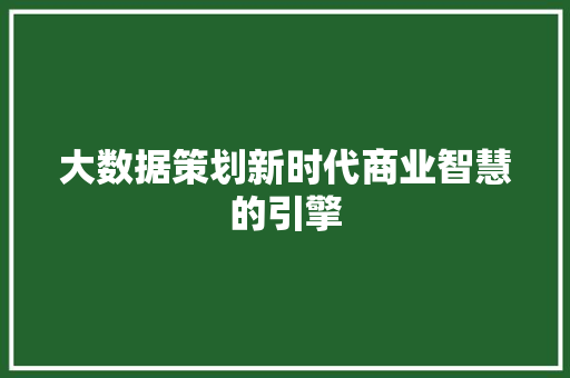 大数据策划新时代商业智慧的引擎