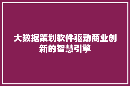 大数据策划软件驱动商业创新的智慧引擎