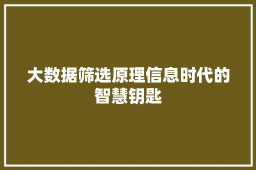 大数据筛选原理信息时代的智慧钥匙  第1张