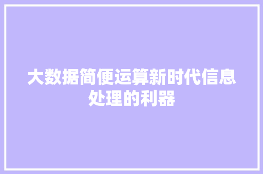 大数据简便运算新时代信息处理的利器