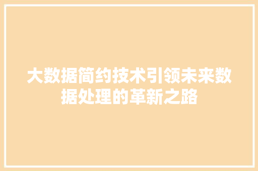 大数据简约技术引领未来数据处理的革新之路