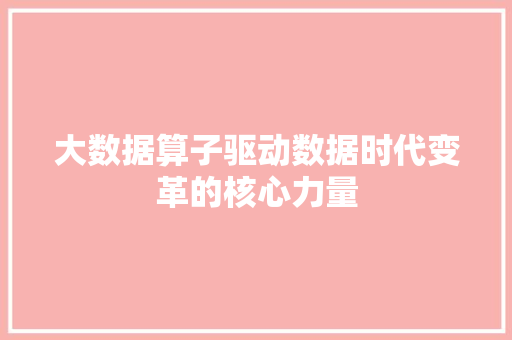 大数据算子驱动数据时代变革的核心力量