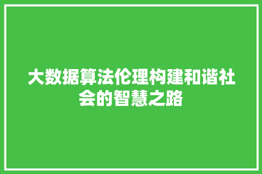 大数据算法伦理构建和谐社会的智慧之路  第1张