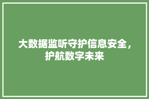 大数据监听守护信息安全，护航数字未来  第1张