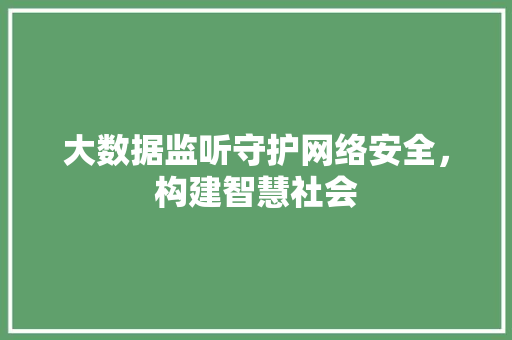 大数据监听守护网络安全，构建智慧社会