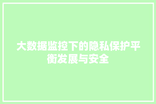 大数据监控下的隐私保护平衡发展与安全  第1张
